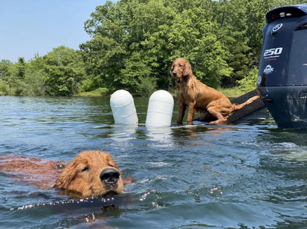 doggydocks® Jumbo Floatation Kit